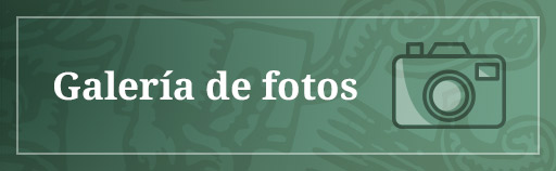 Galera de fotos