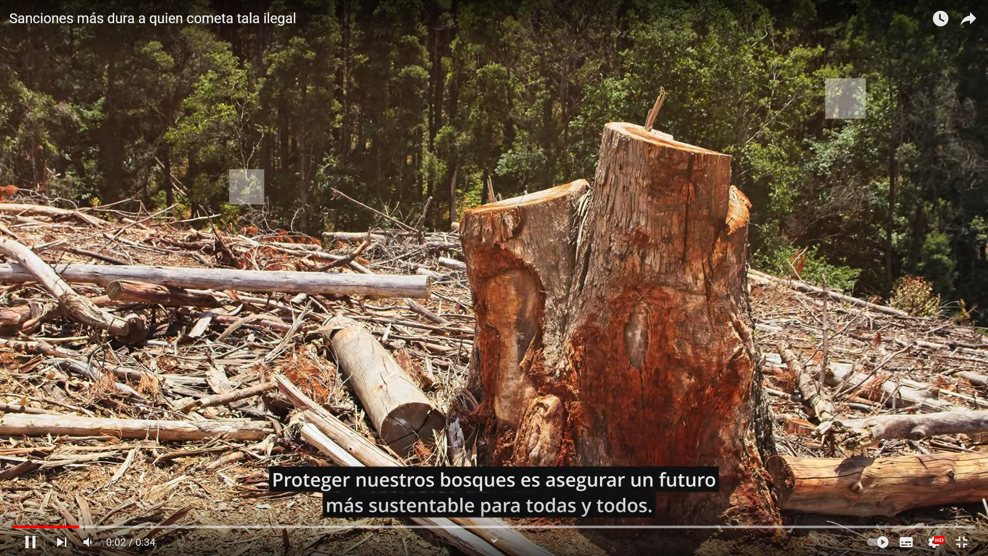 video